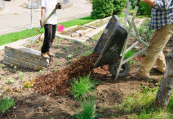 Aménagement de jardin à Maisons-Alfort